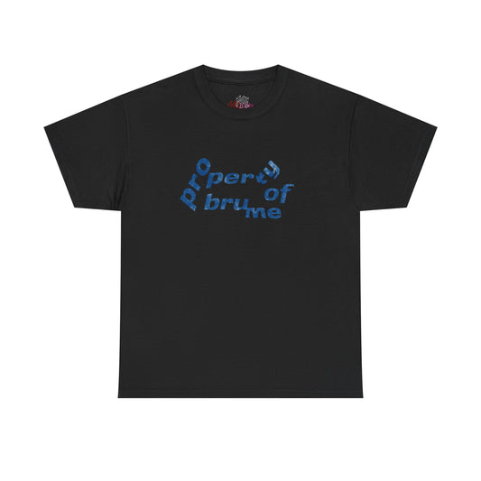 Property of brume