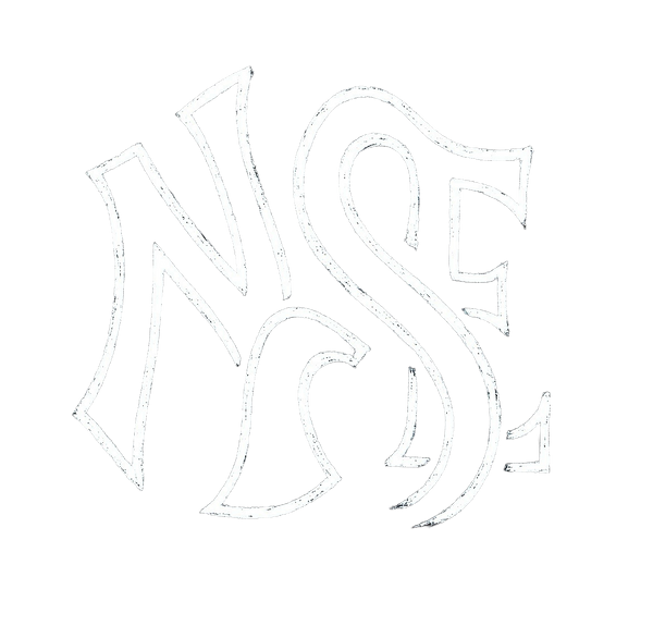 NSE